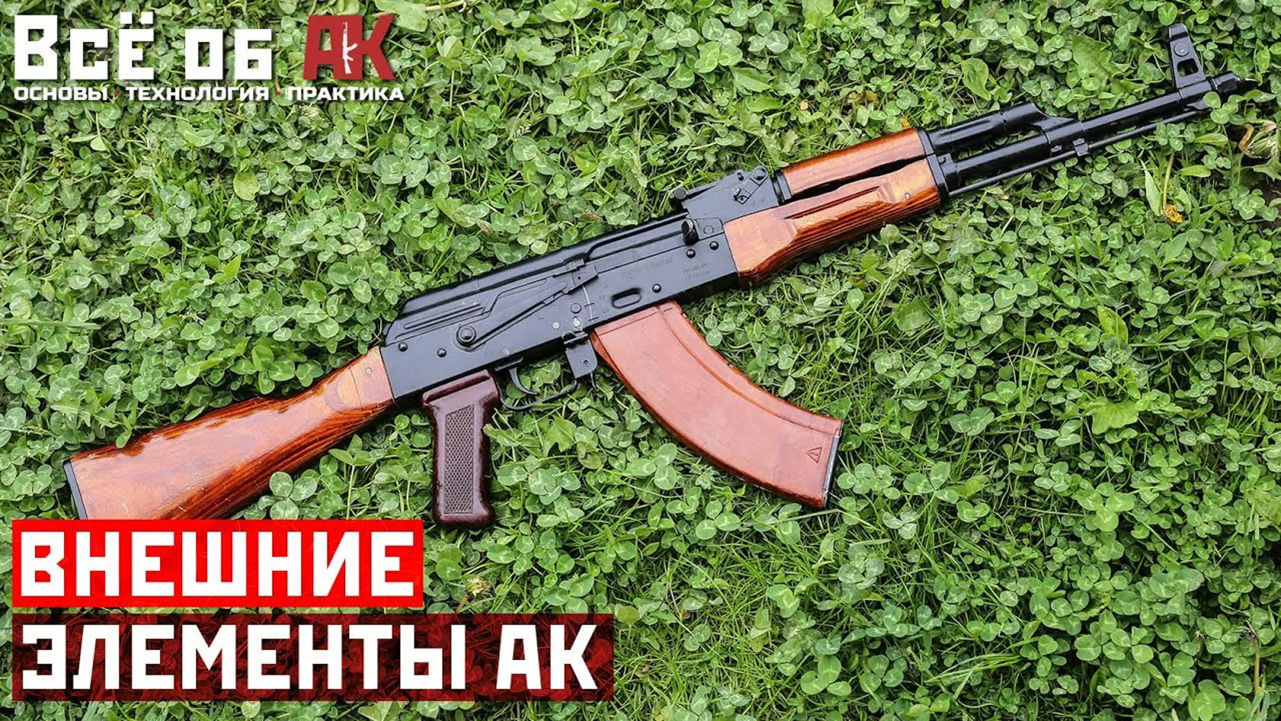 Огнестрельное оружие