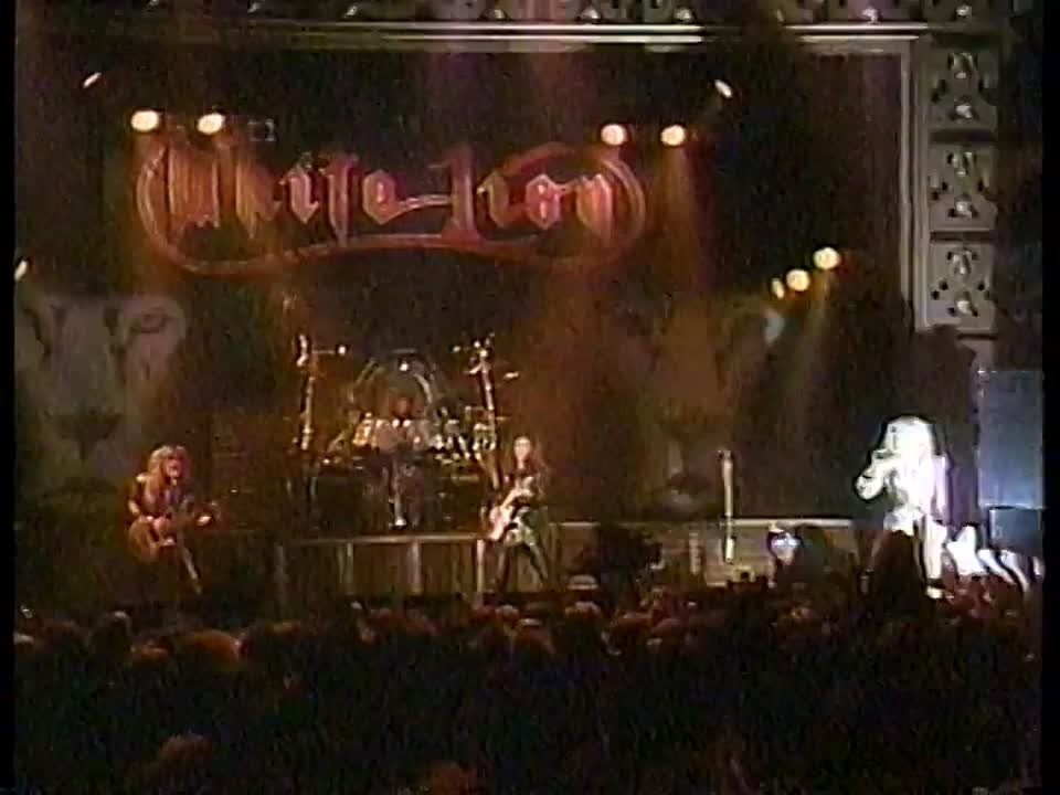 White Lion