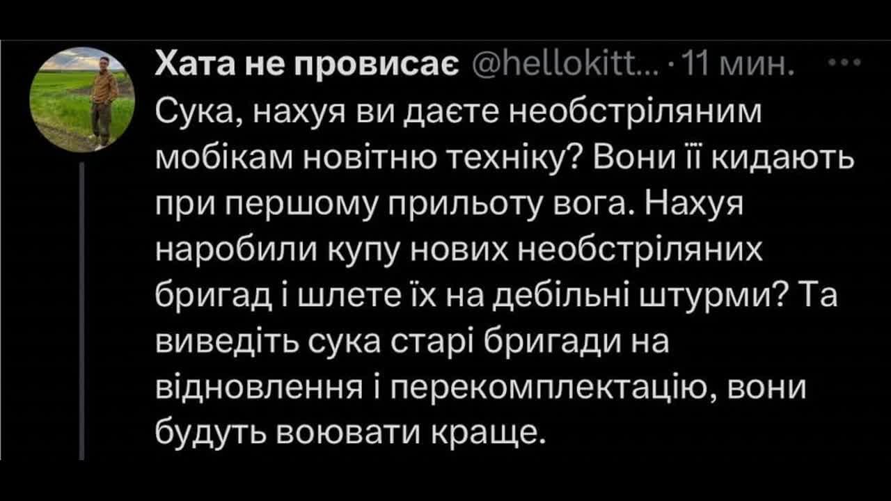 Жизнь Насекомых