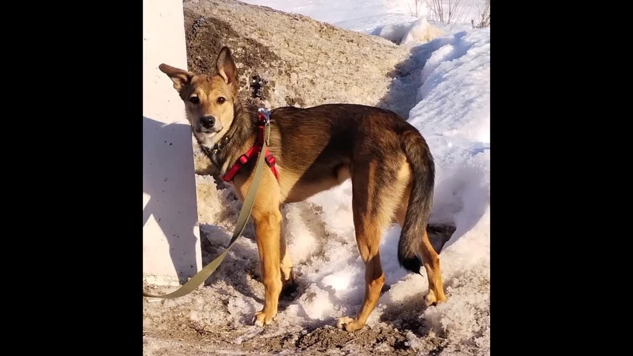 Разное