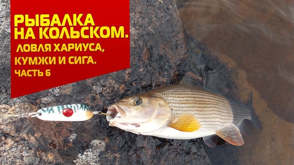 Рыбалка на Кольском 2015 (6 частей)