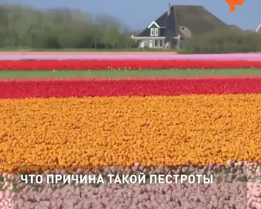 Мои видеозаписи.