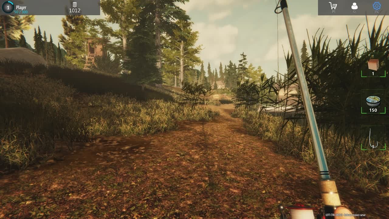 Обзоры, Прохождение игр PC
