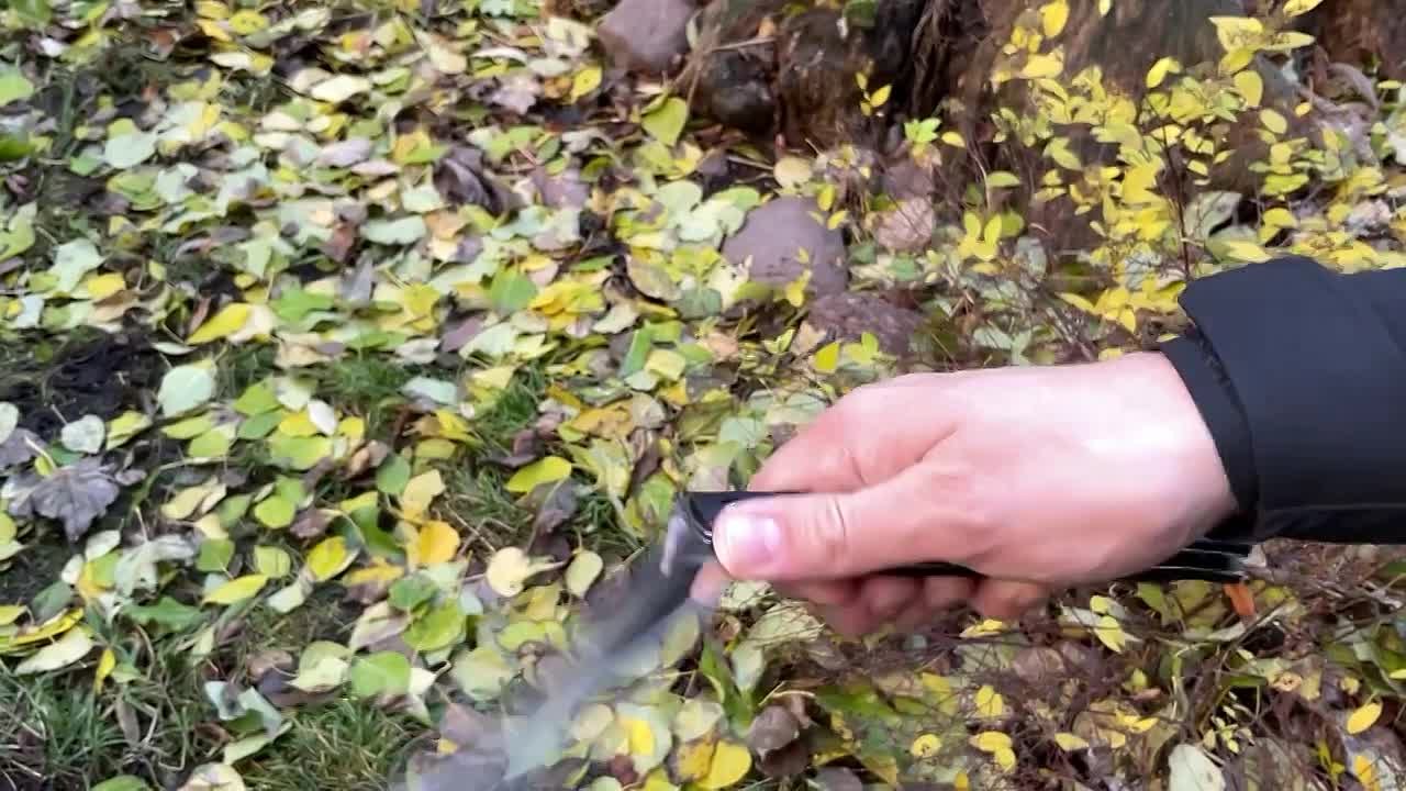Forest Home Store