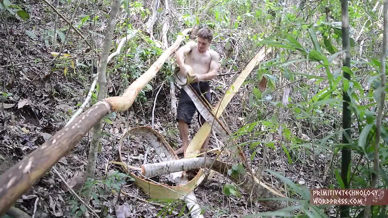 Primitive Technology