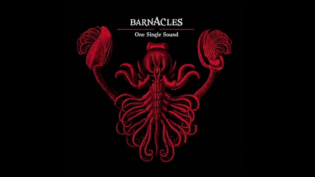 Barnacles - One Single Sound