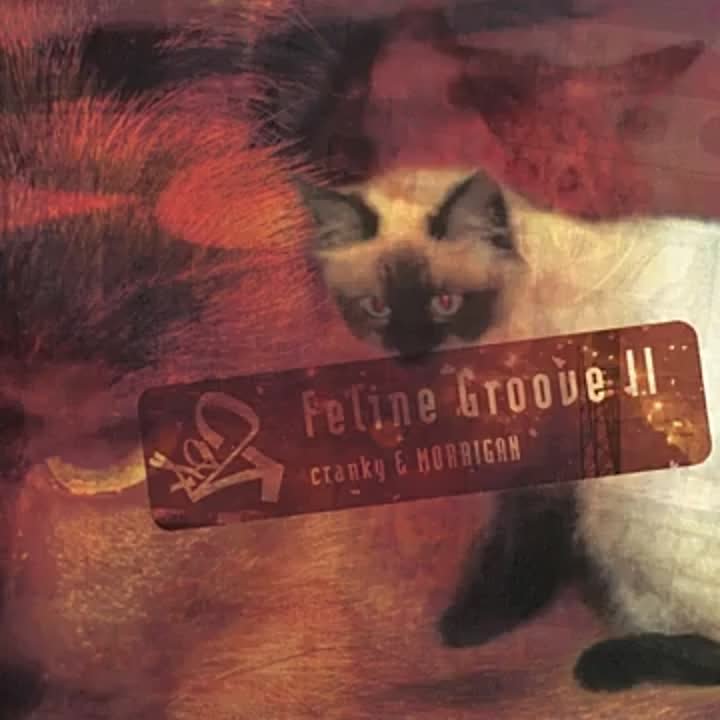 Cranky, Morrigan - Feline Groove II