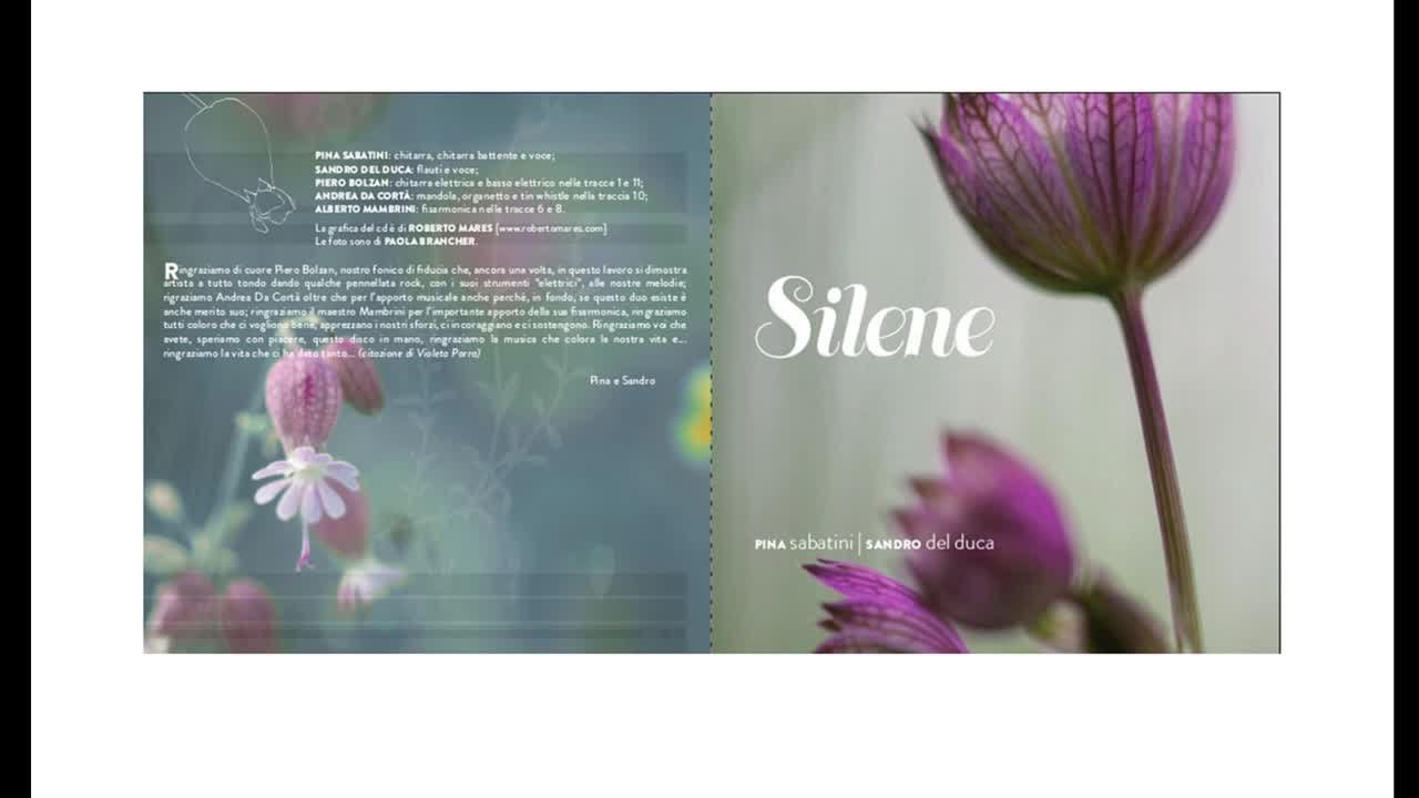 Silene - Silene