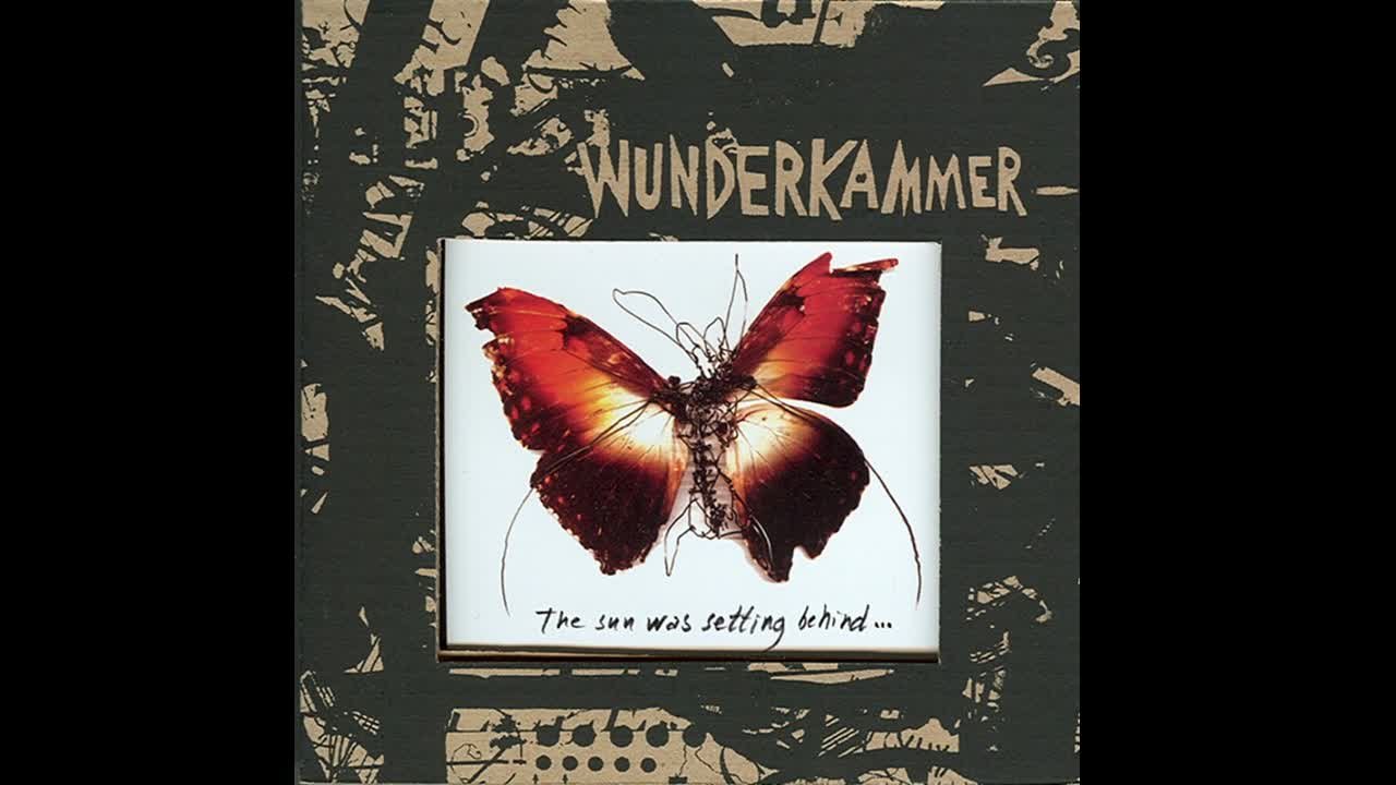 Wunderkammer - Today I Can Not Hear Music......