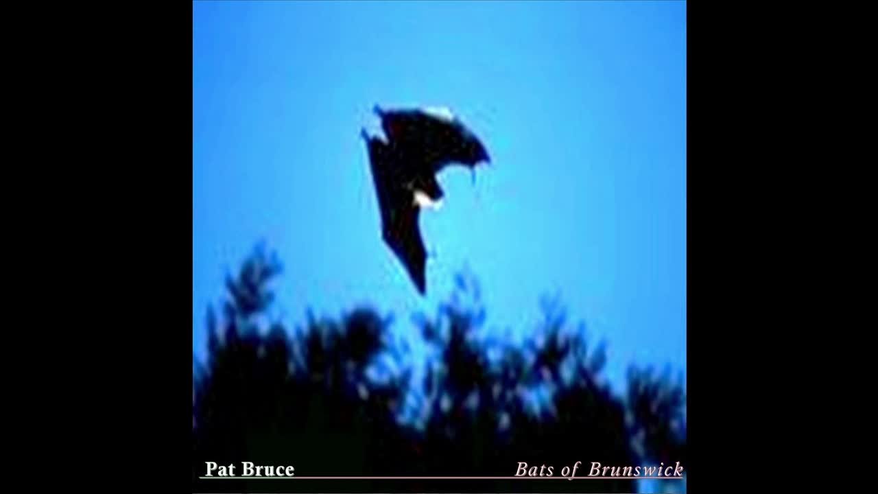 Pat Bruce ('2-Hat Pat') - Bats Of Brunswick (acoustic demos)