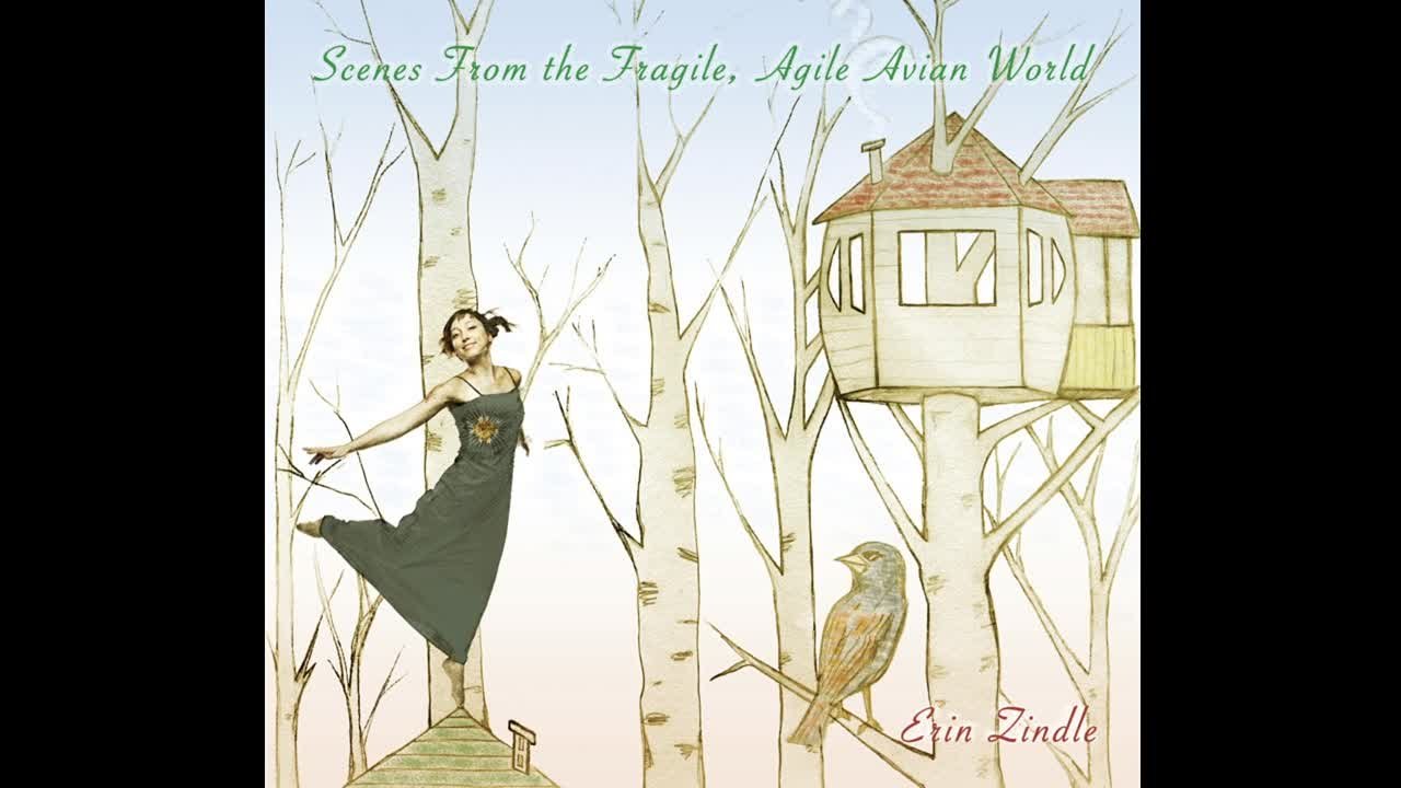 Erin Zindle - Scenes From The Fragile, Agile Avian World