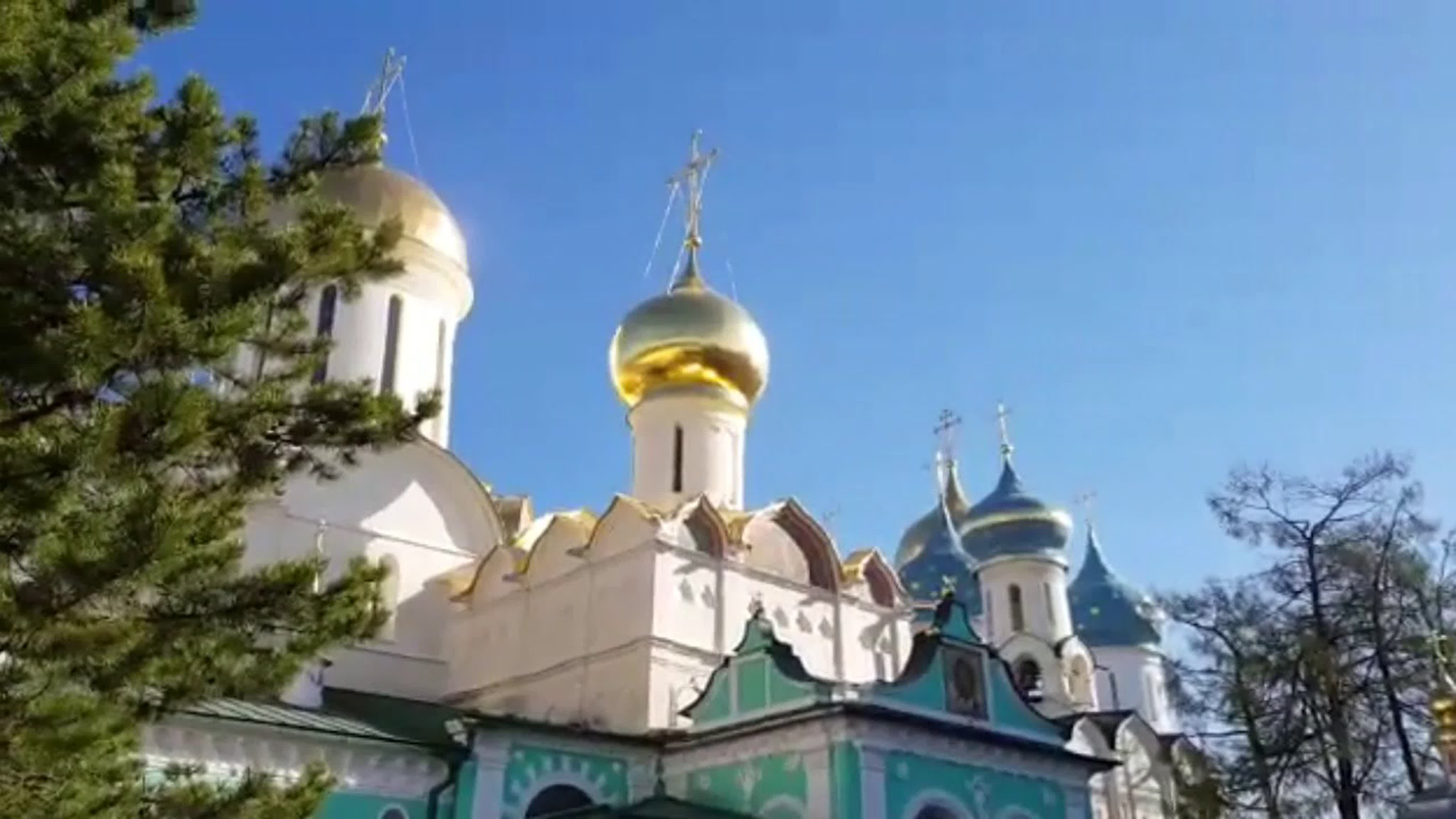 Светлана МАЛОВА