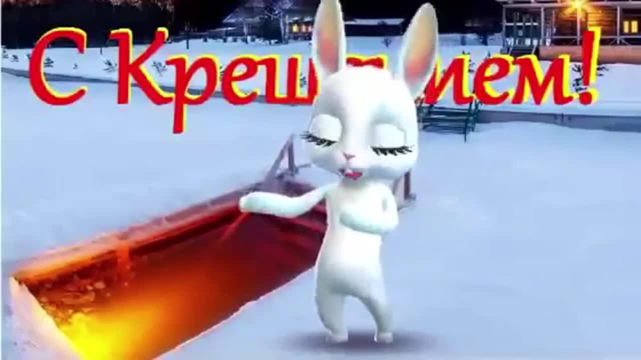 ЗАЙКА