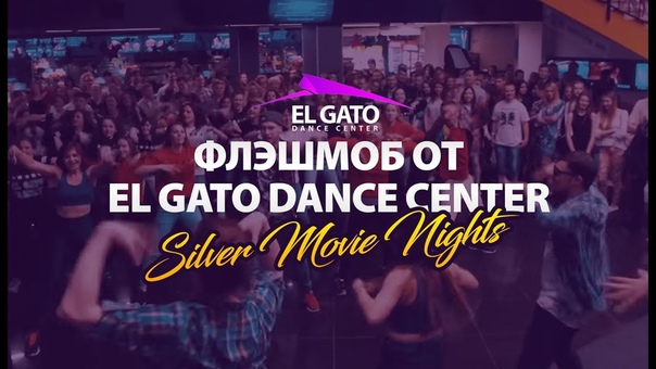 Выступления тренеров и учеников El Gato DC