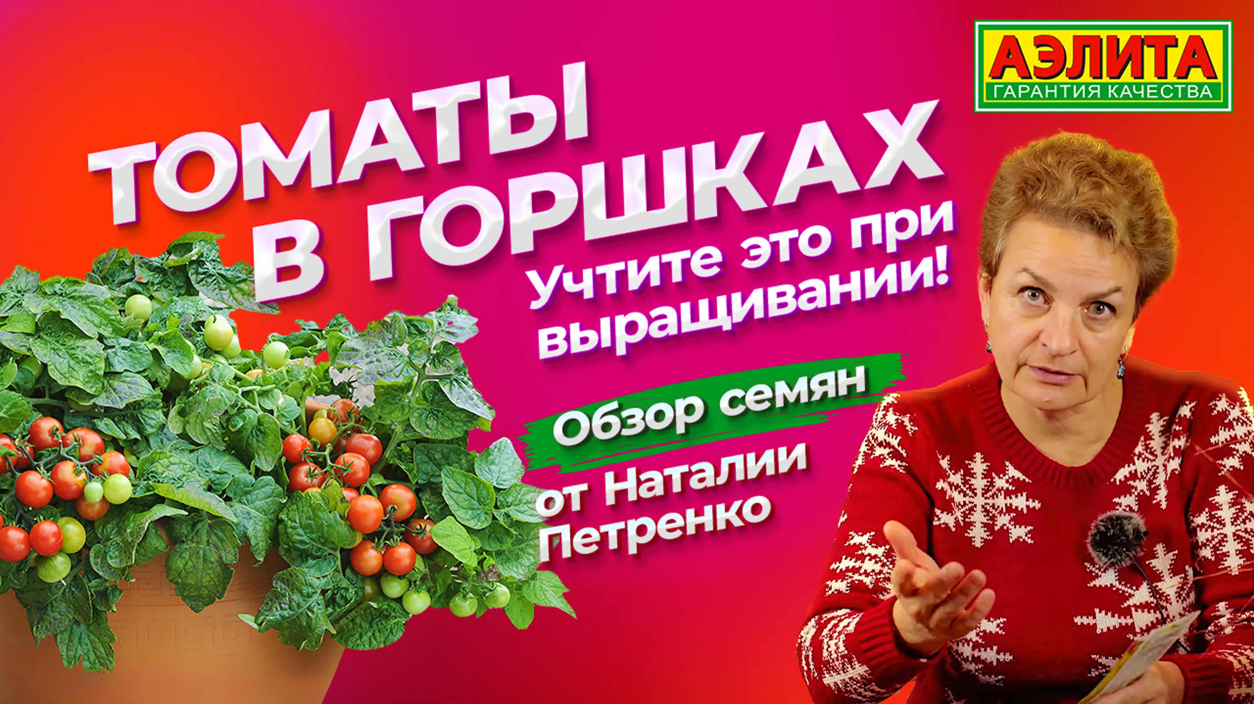 🍅Томаты🍅