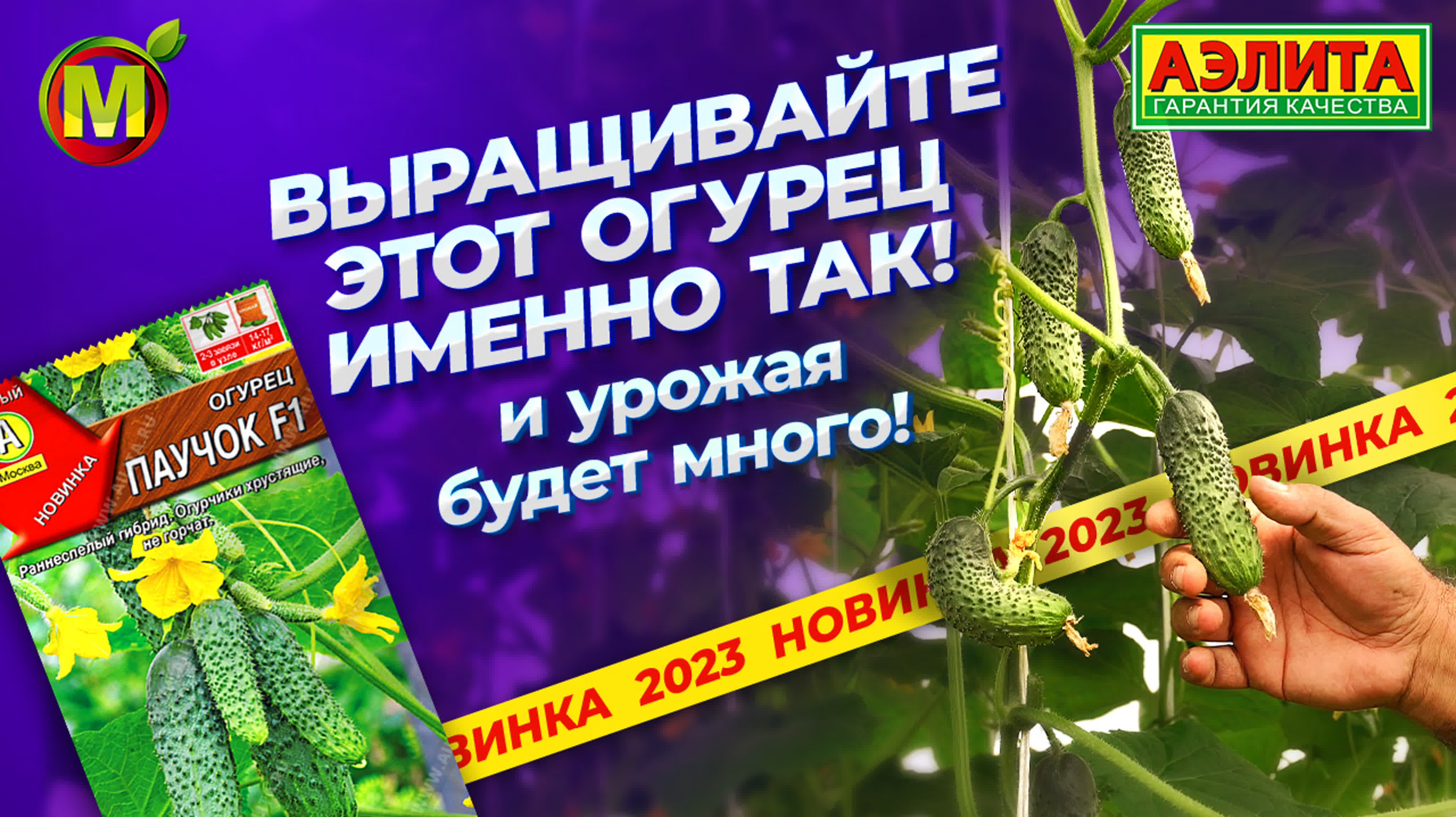 🥒Огурцы🥒