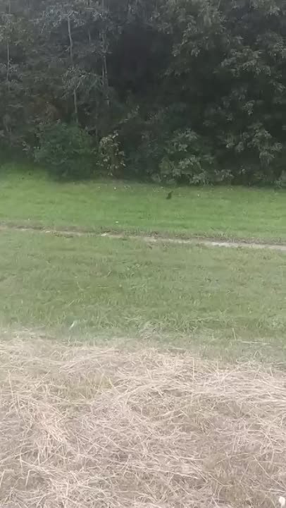 Иное
