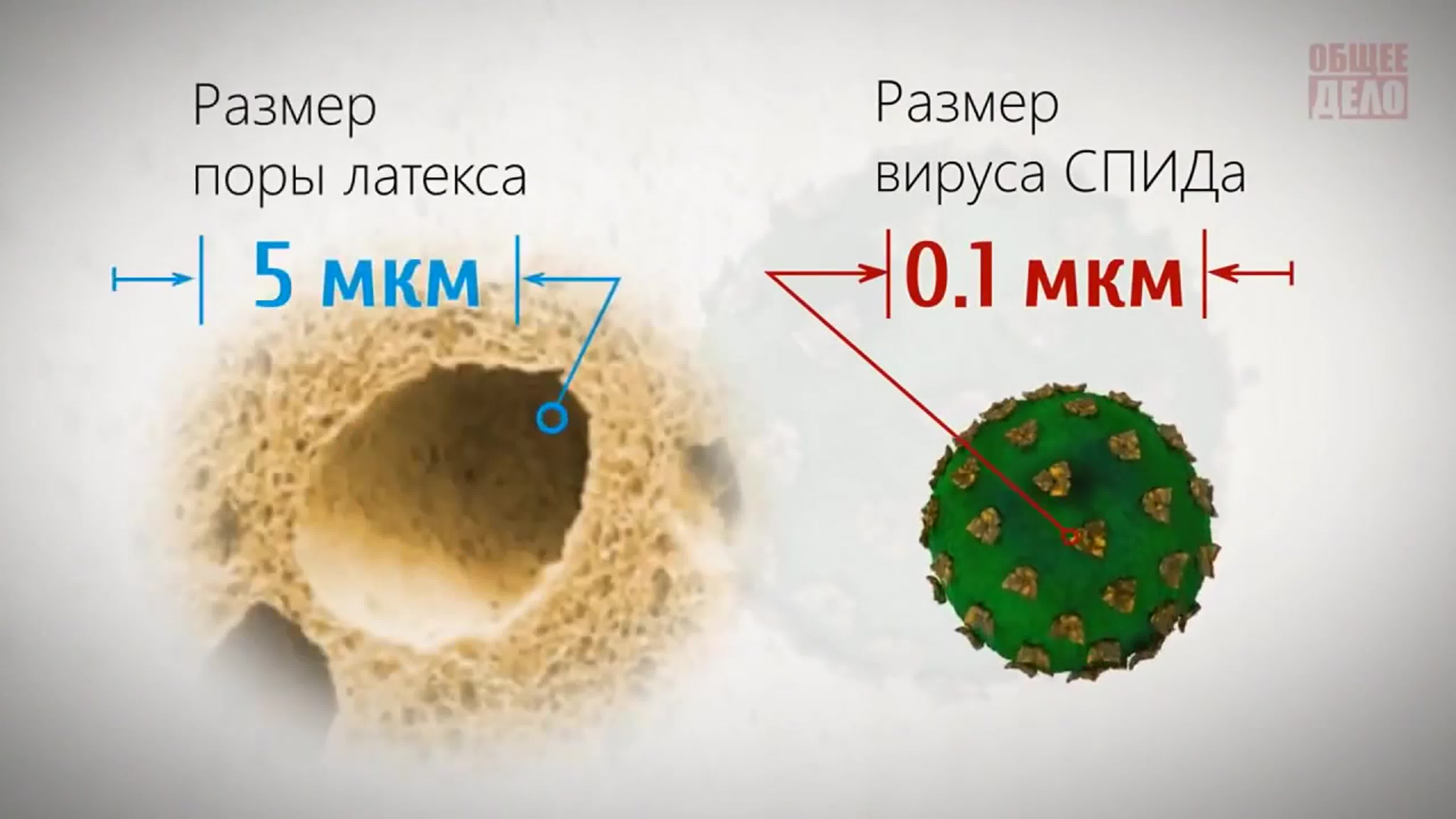 Короткие ролики. Части лекций. Ответы на вопросы.