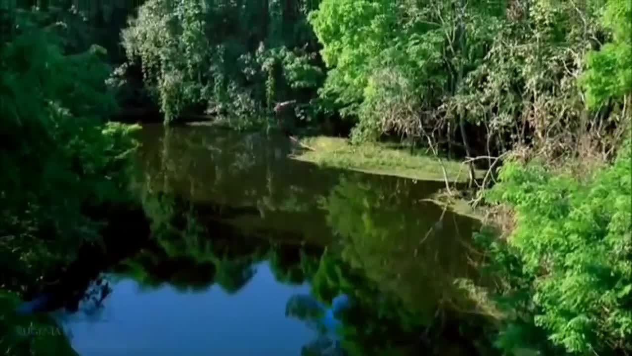 Видео про Абхазию