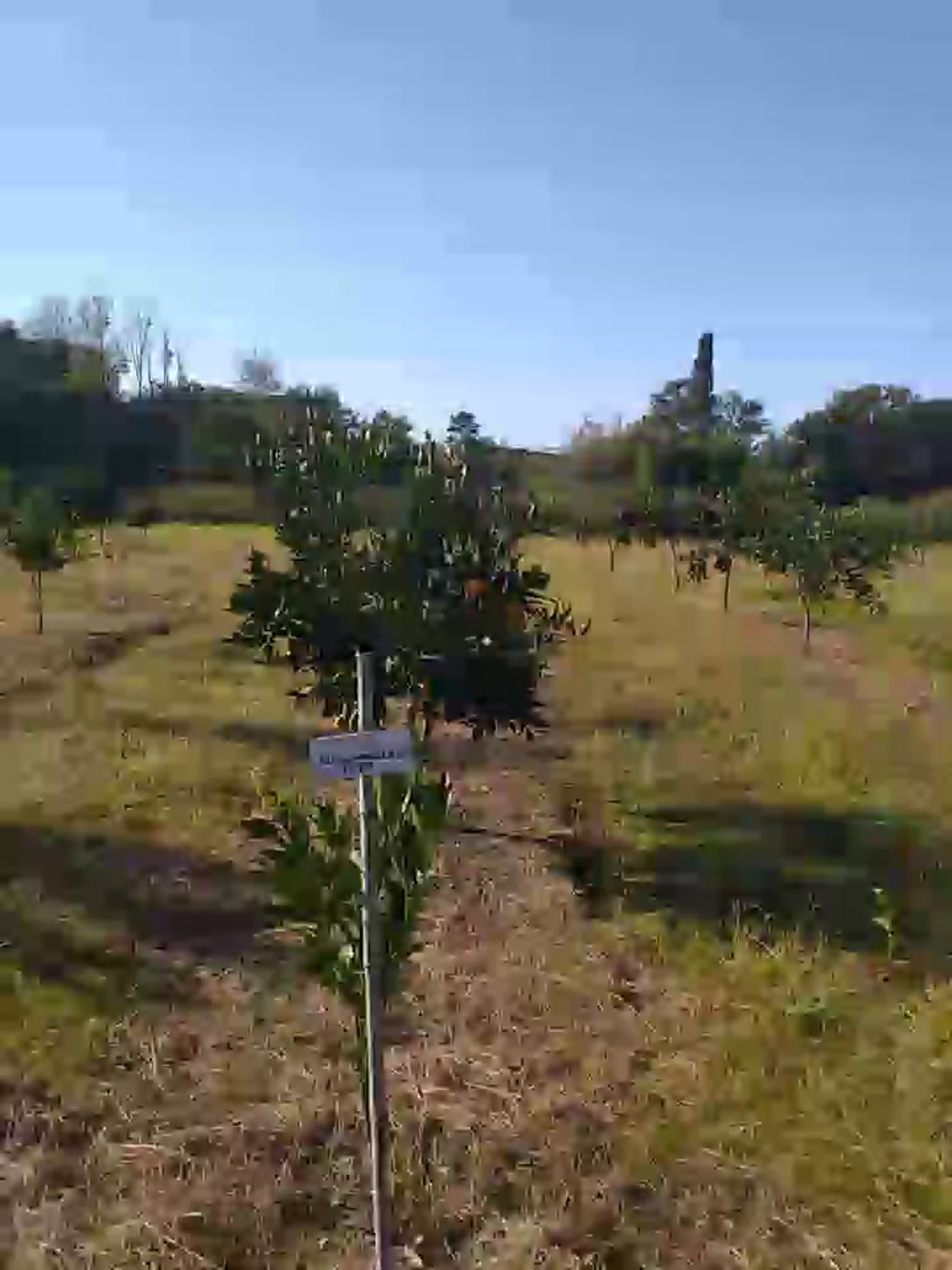 Оздоровительные туры 2020