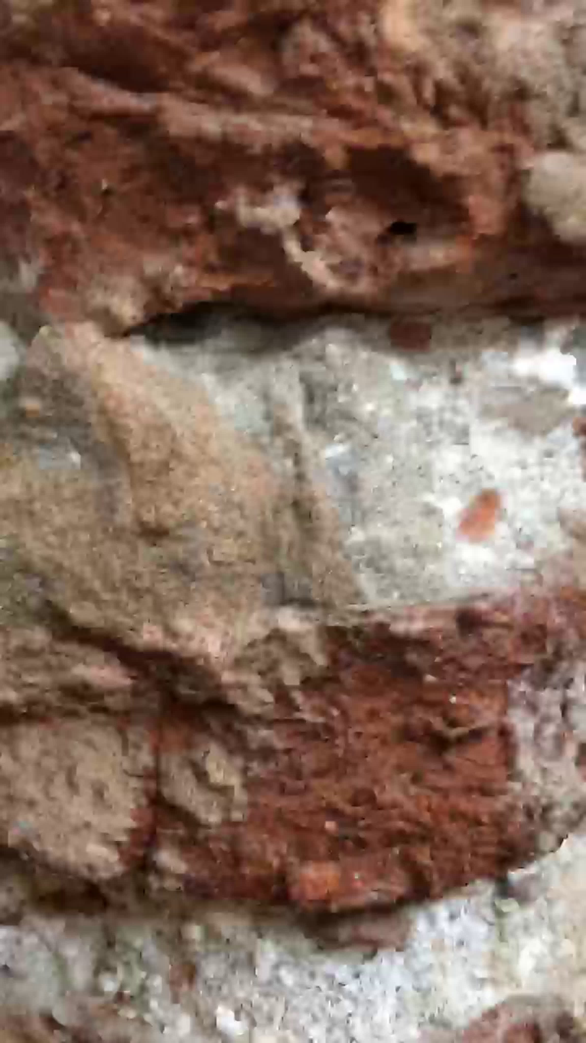 Абхазия, йога туры 2019