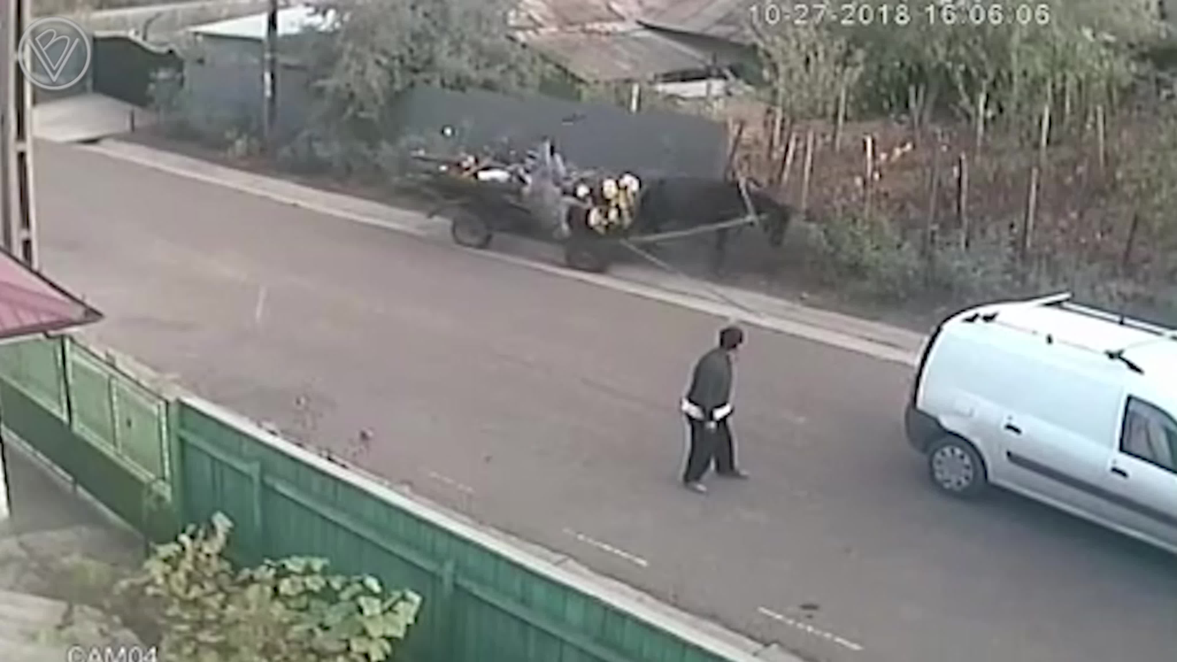 Юмор