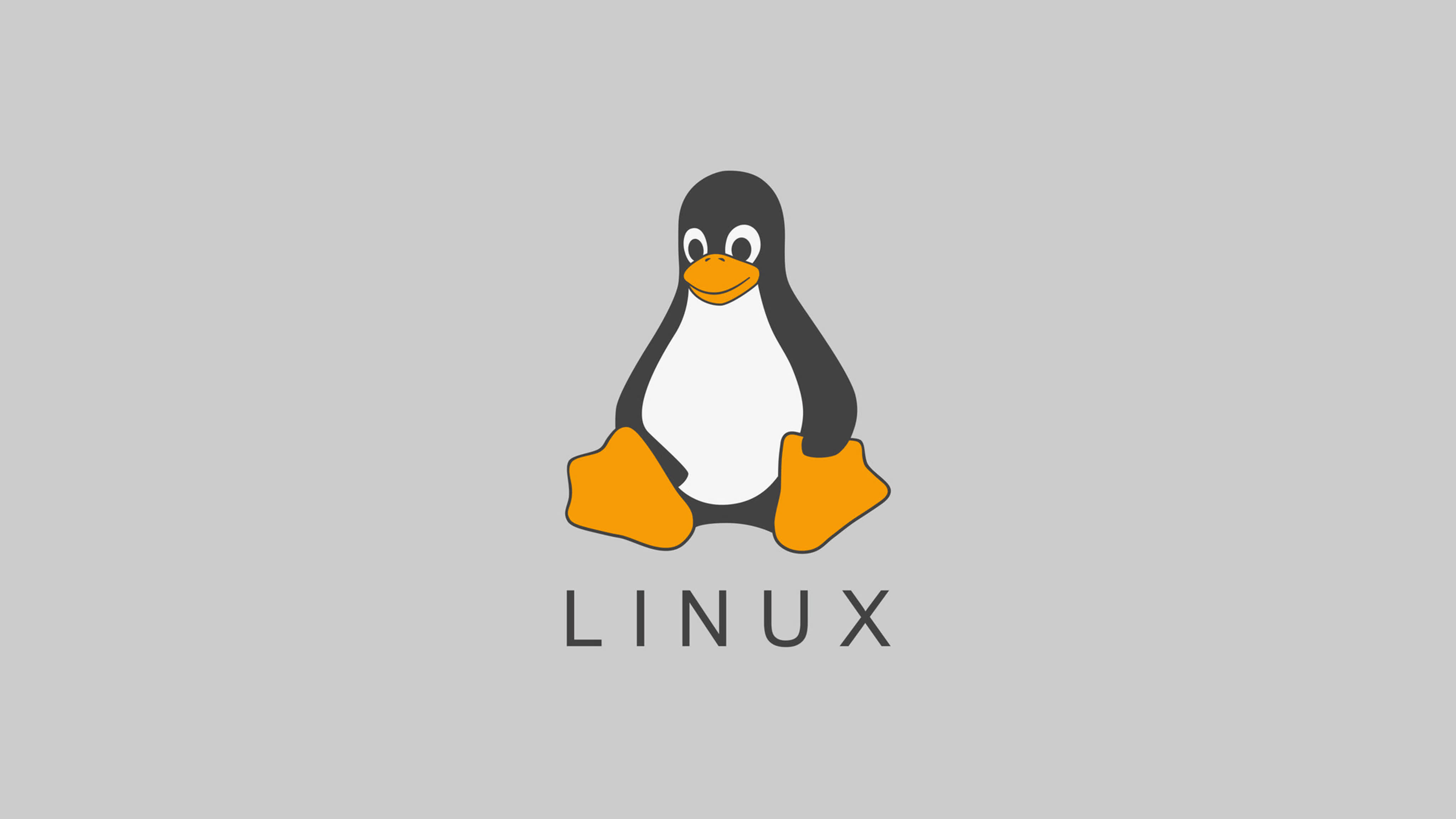 Linux Command Line Course Linux Terminal Shell Scripting