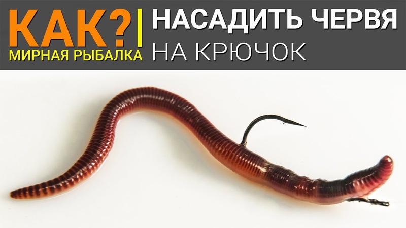 РЫБАЛКА