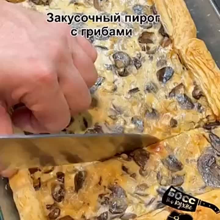 Грибы