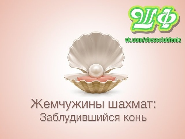 Жемчужины шахмат