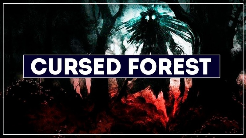 THE CURSED FOREST