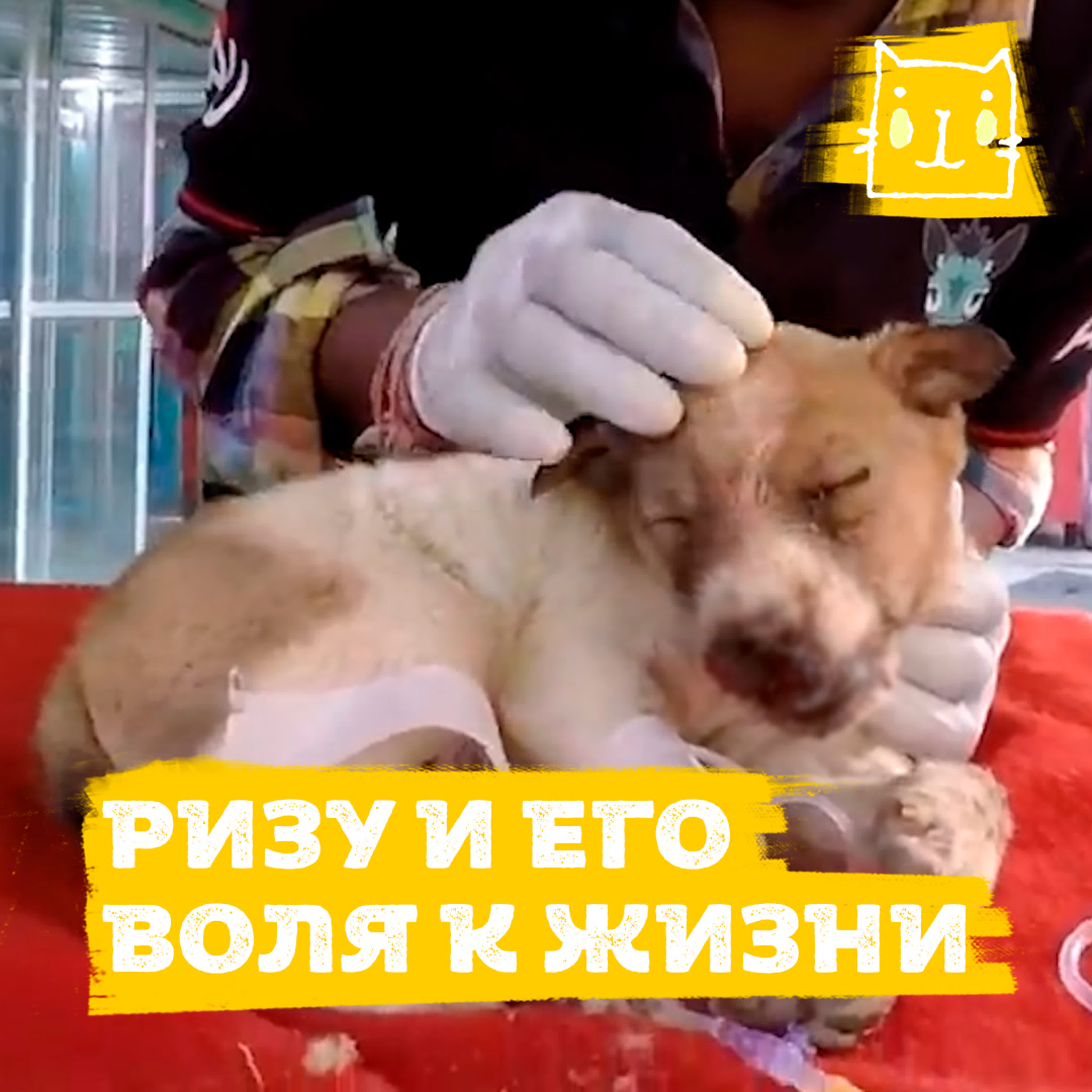 Надо