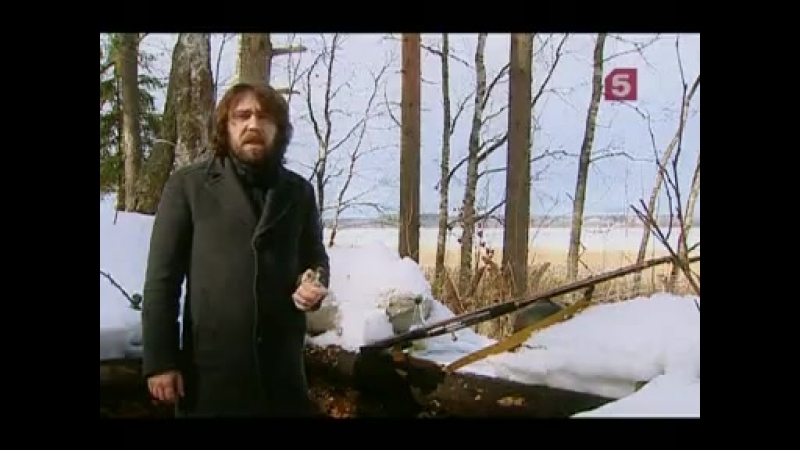 Дкументалистика