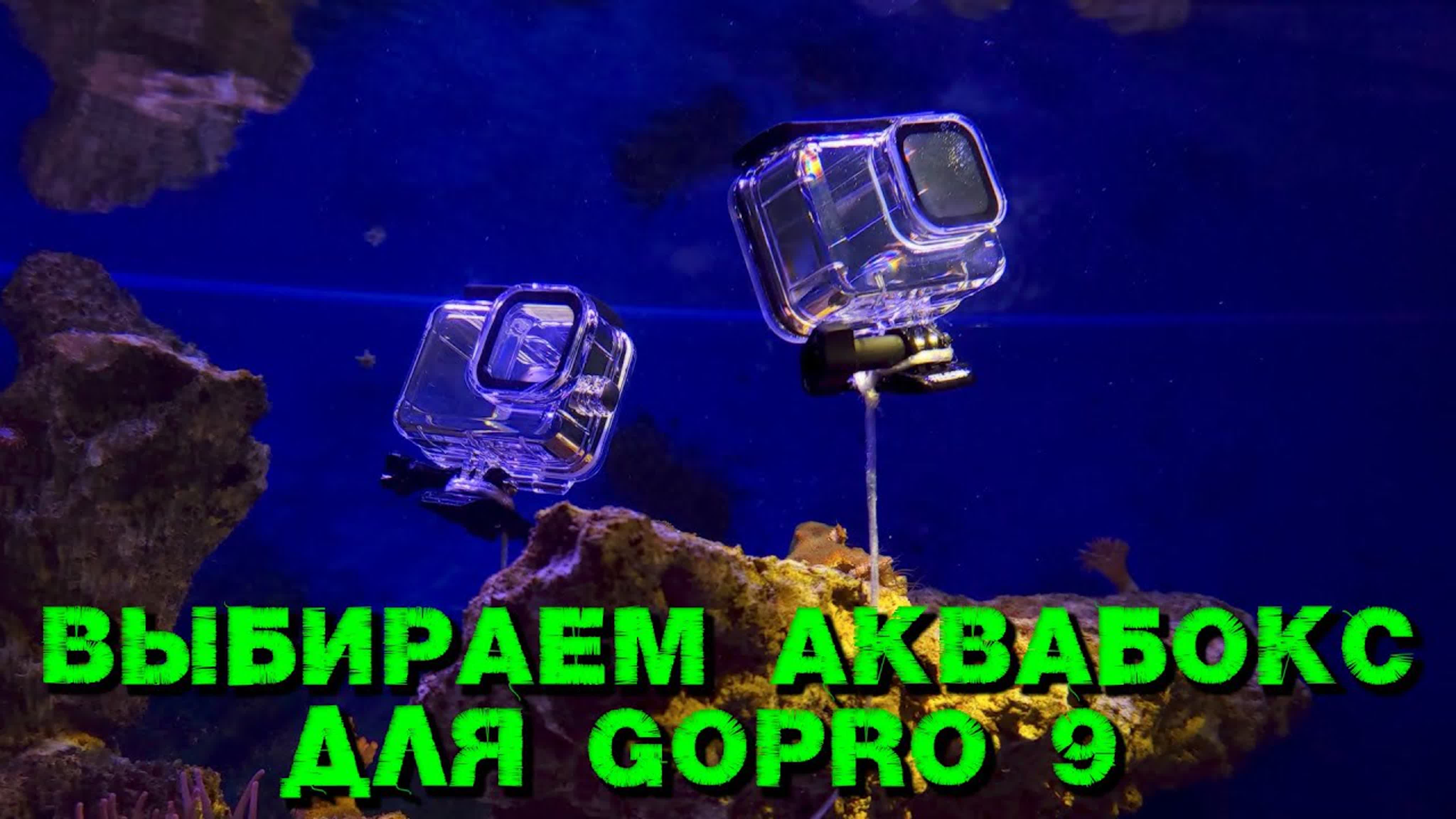 ДАЙВИНГ (DIVING)