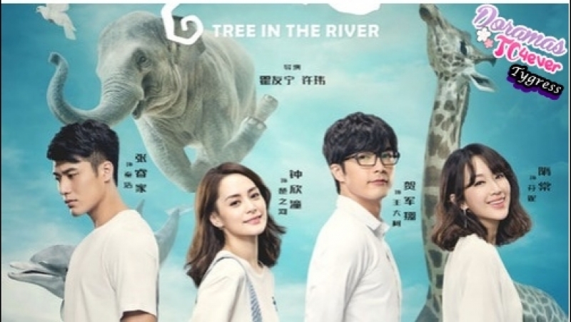 TREE IN THE RIVER  (C) ✔