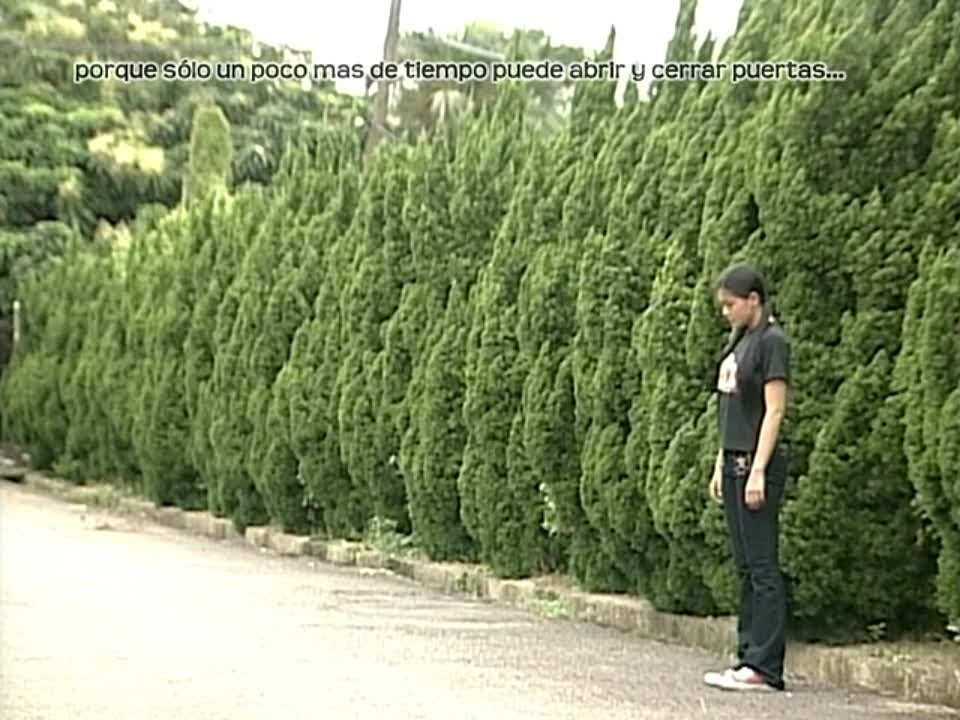 METEOR GARDEN (49 Ep.) (C)...