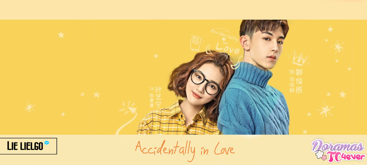 ACCIDENTALLY IN LOVE (C)   ✔