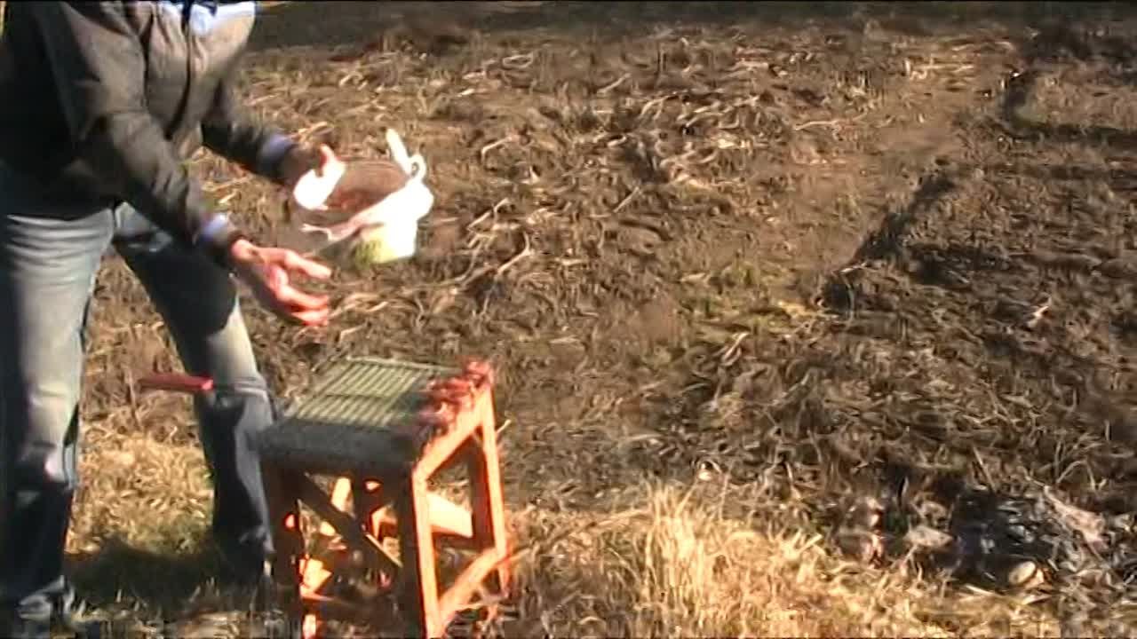 Магнитка.У Сергея-15-16.04.23г.