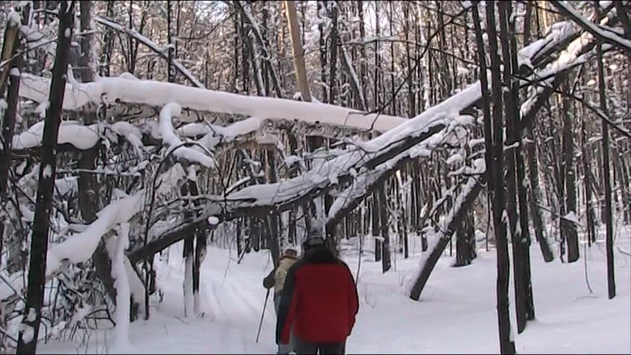 Крылья Дракона-22г.
