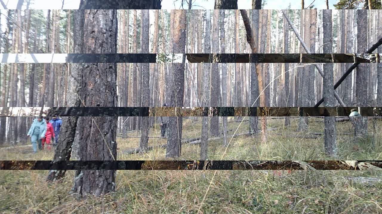 городище камней-29.10.22г.