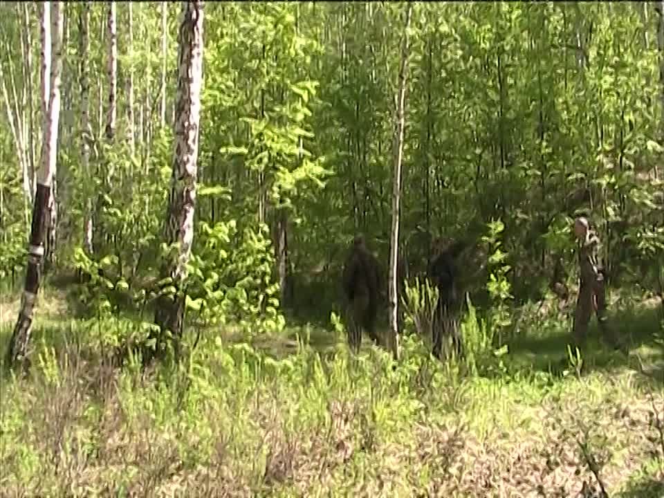 провал-испуск в  него.