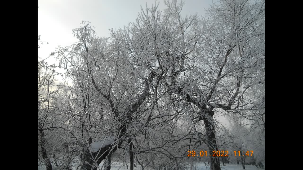 голая-29.01.22г.