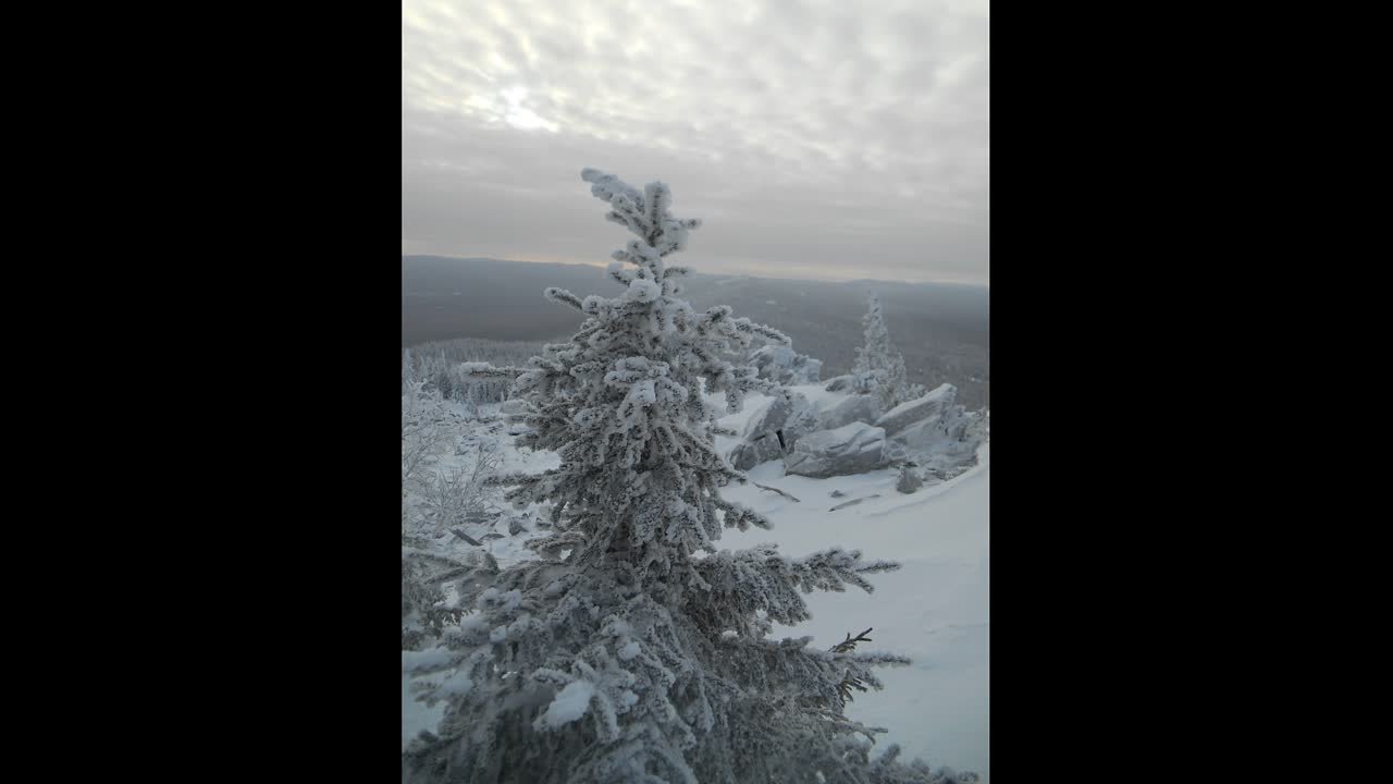 уреньга-1
