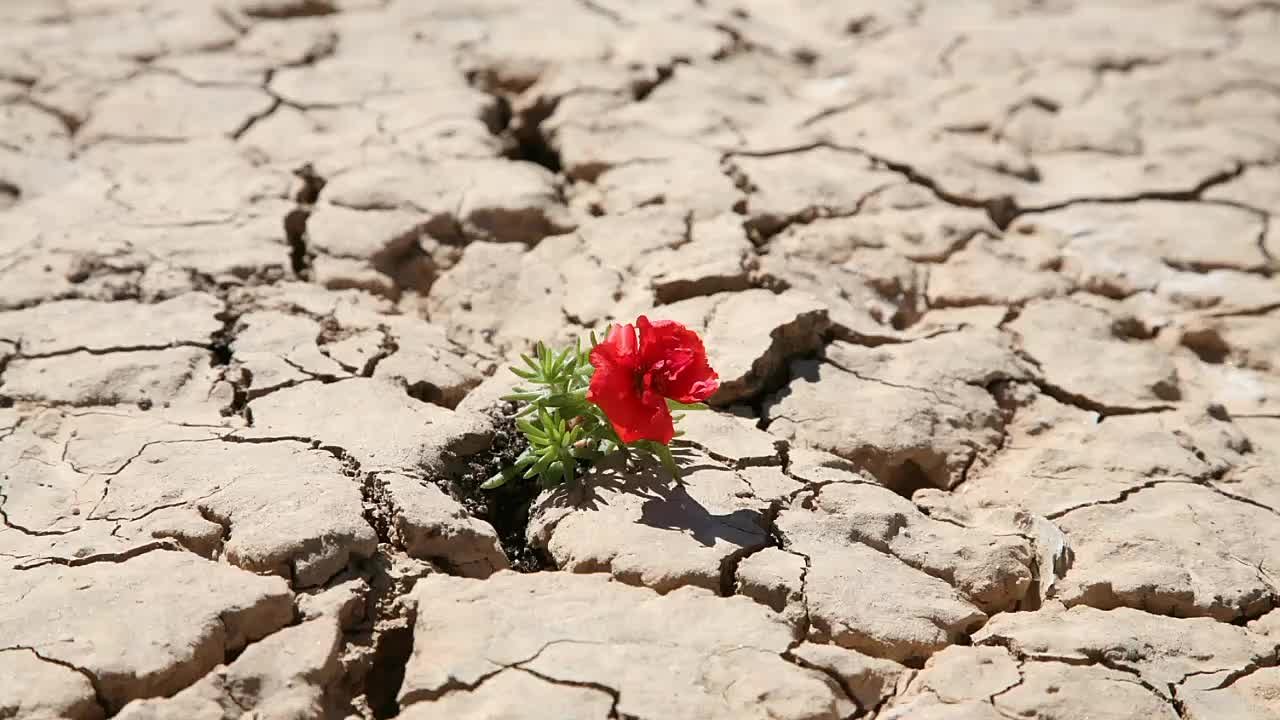 Theatre Studio "INSPIRATION"