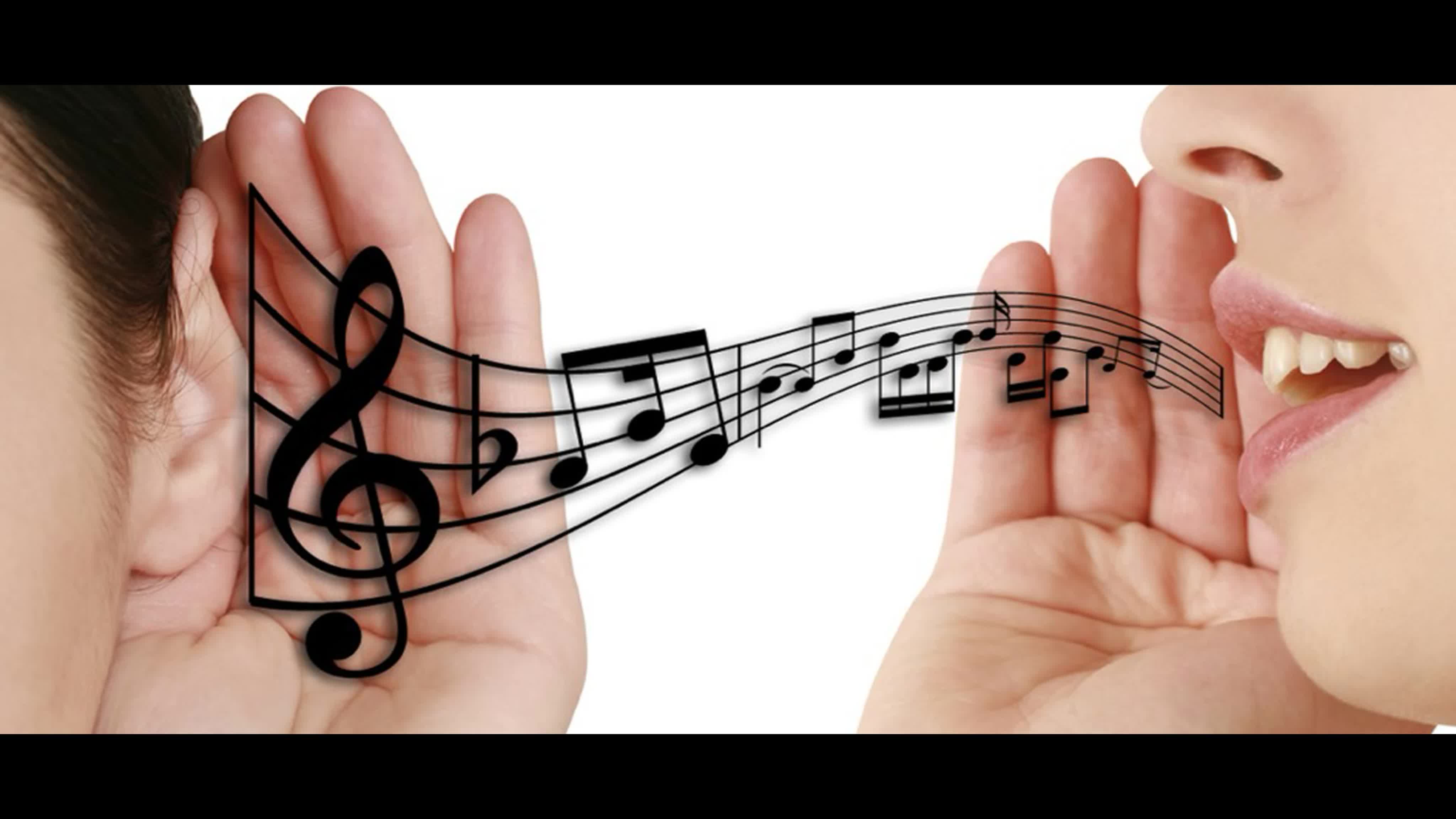 Школа Кашевара