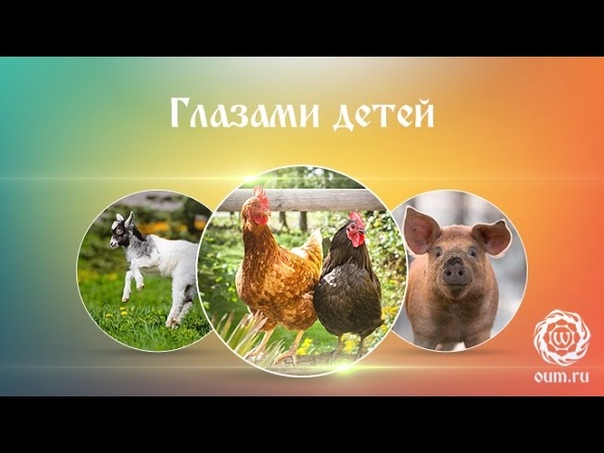 Вегетарианство/Веганство
