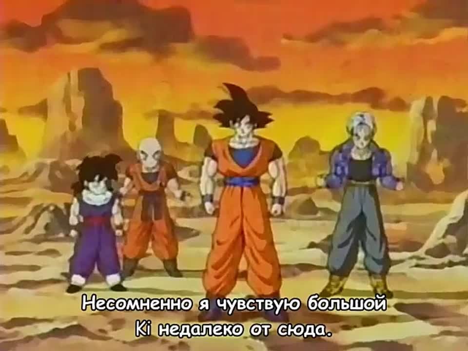 Драконий жемчуг Z