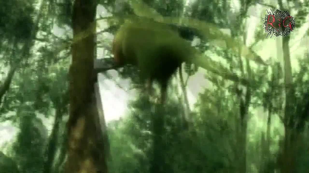 Музыкальные клипы по видео играм