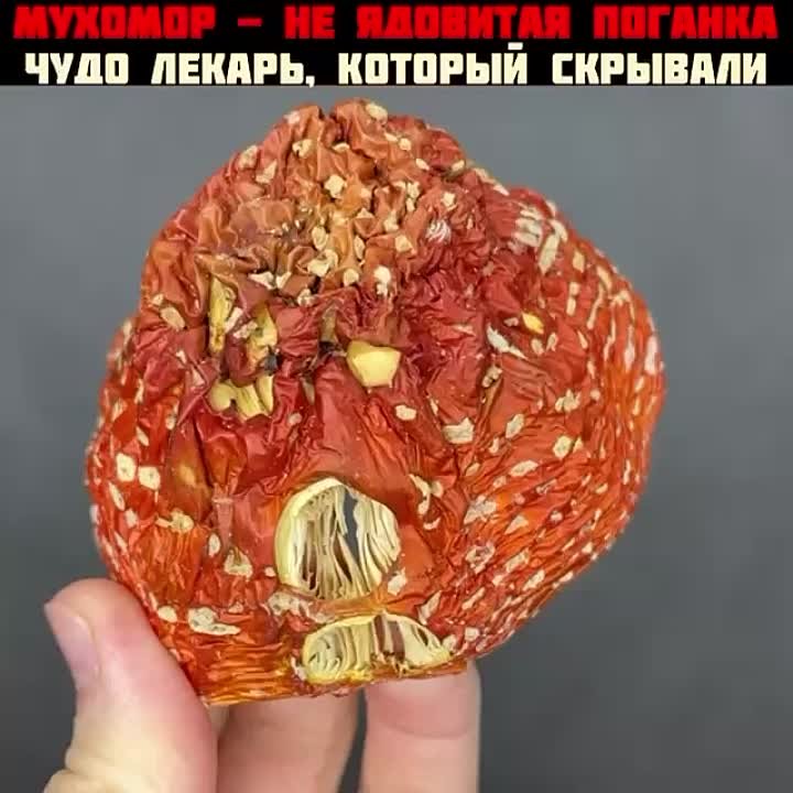 Мухоморы