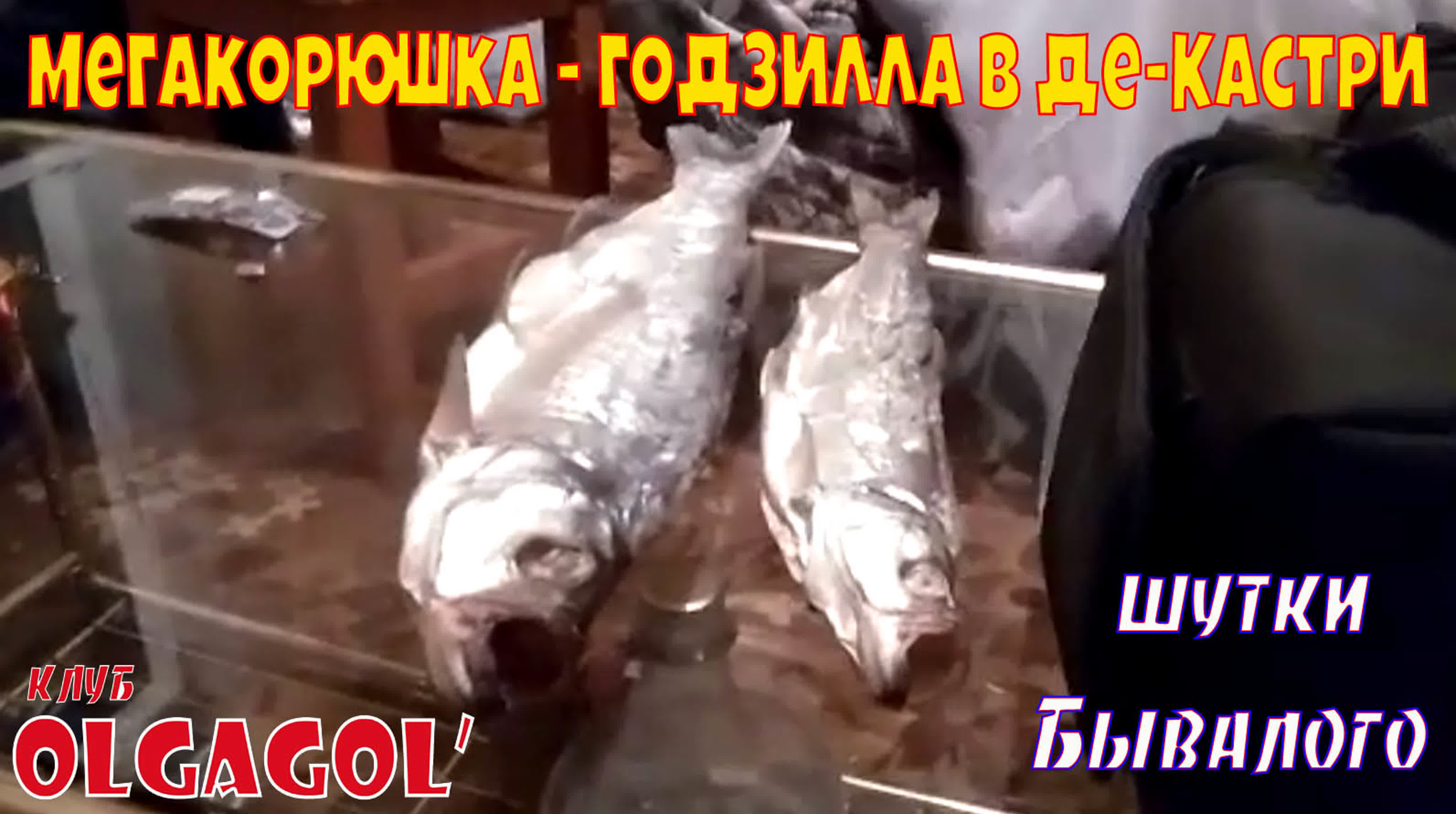 Альфа самцы на рыбалке